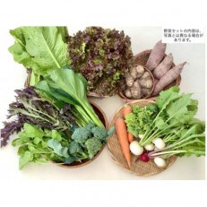 季節の野菜セットMサイズ　 | ふるさと納税のお礼品
