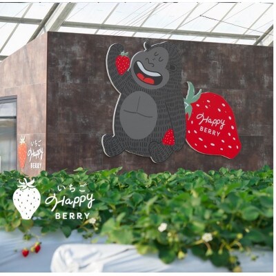 愛知県東郷町にある　いちごHappyBerryのいちご狩り招待券　1名様
