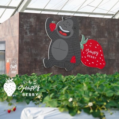 愛知郡東郷町の農園いちごHappyBerryのいちご狩り招待券2名様(トッピング2品付)