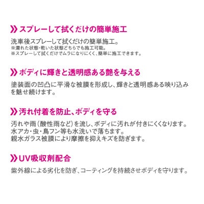 ペルシード　ハイドロショット2親水タイプ PCD-810　コーティング施工専用拭き取りクロス付属