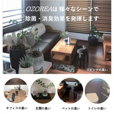 低濃度オゾン発生器『OZOREA』レッド