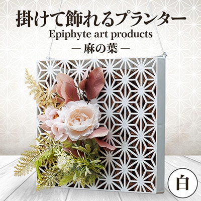Epiphyte　Art　Products　麻の葉　L　白