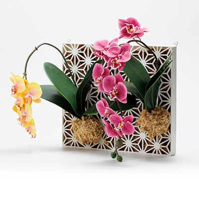 Epiphyte　Art　Products　麻の葉　L　白