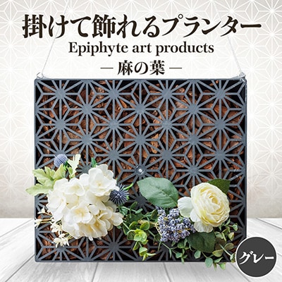 Epiphyte　Art　Products　麻の葉　L　グレー
