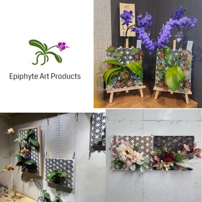Epiphyte　Art　Products　麻の葉　L　グレー