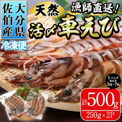 漁師直送! 天然活〆車えび (計500g・250g×2P) 大分県産