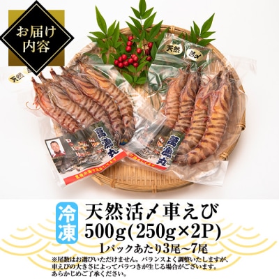 漁師直送! 天然活〆車えび (計500g・250g×2P) 大分県産