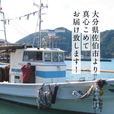 漁師直送! 天然活〆車えび (計500g・250g×2P) 大分県産