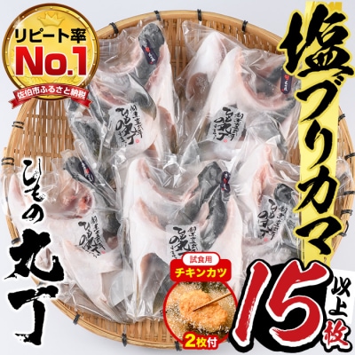 【試食用チキンカツ付】ひもの丸丁の塩ブリカマ(3～4枚入り)×5パック