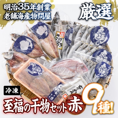 老舗海産物問屋 選りすぐり 干物 セット 赤  (9種) 