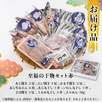 老舗海産物問屋 選りすぐり 干物 セット 赤  (9種) 
