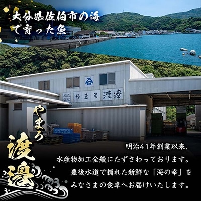 中骨なし開き3種詰め合わせ (16尾・3種) 
