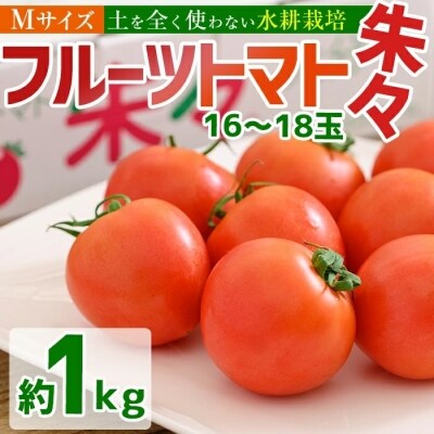 フルーツトマト朱々(Мサイズ) 1kg 16~18玉