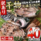 <訳あり> 干物大満足BOX (40尾以上・5-8種)  
