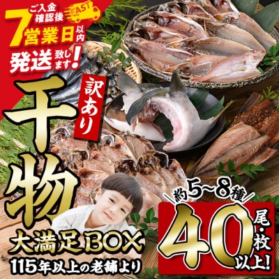 <訳あり> 干物大満足BOX (40尾以上・5-8種)  