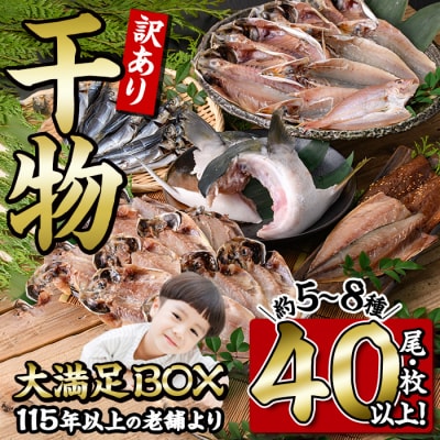 <訳あり> 干物大満足BOX (40尾以上・5-8種)  