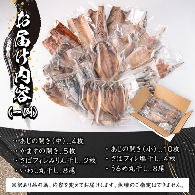 【40尾以上届く】老舗ひもの屋職人の「訳あり干物大満足BOX」