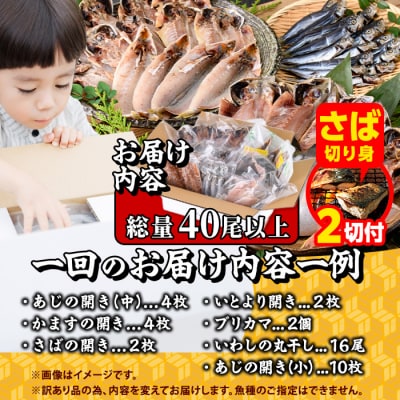 【期間限定・さば切り身2切付】<訳あり> 干物大満足BOX (40尾以上・5-8種)  