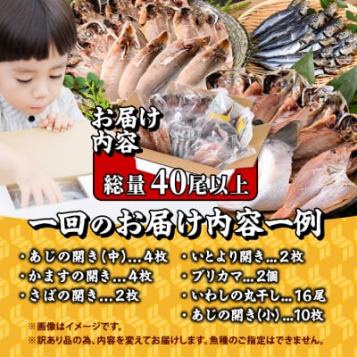 <訳あり> 干物大満足BOX (40尾以上・5-8種)  