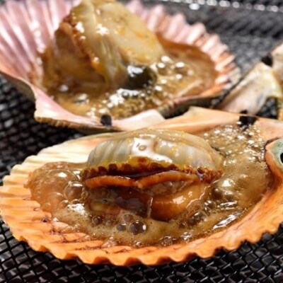後藤さんが育てた屋形島の緋扇貝 ひおうぎがい 30枚 お礼品詳細 ふるさと納税なら さとふる