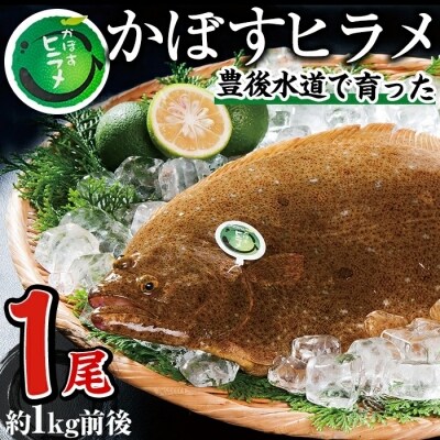 味よし、香りよし、見ためよし三拍子揃った「蒲江産かぼすヒラメ」