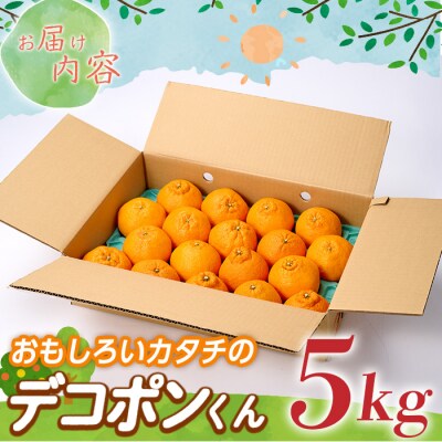 <先行受付中!2024年2月から3月の期間に順次発送予定>おもしろいカタチの「デコポンくん」