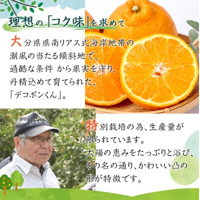 <先行受付中!2024年2月から3月の期間に順次発送予定>おもしろいカタチの「デコポンくん」