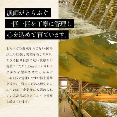 とらふぐ 唐揚げ 生姜にんにく醤油味 (約430g)  