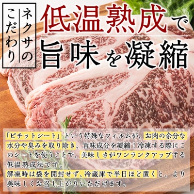 おおいた和牛 リブロースステーキ (計500g) 