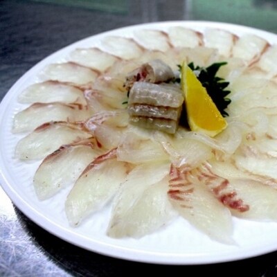 養殖ヒラメ刺身 薄造り 1尾分 約700g お礼品詳細 ふるさと納税なら さとふる