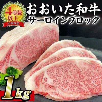 おおいた 和牛 サーロイン ブロック 百年の恵み (1kg) 