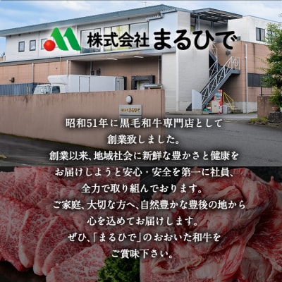 おおいた和牛 焼肉用 3点セット(合計1.2kg・3種×各400g)