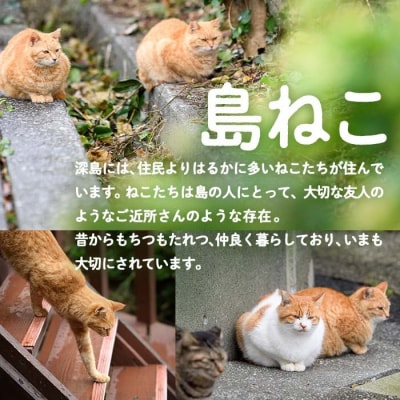 深島の猫へ寄付と深島猫グッズ (Aプラン・計4種)  