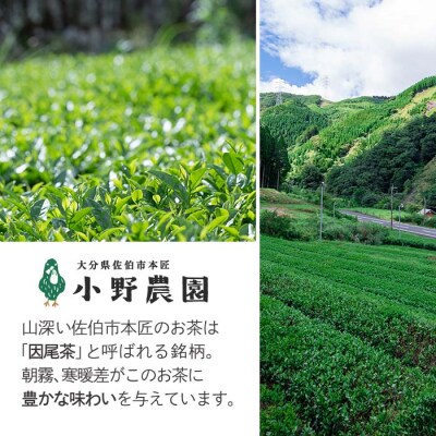お茶 ティーバッグ 3種セット (釜炒り茶、和紅茶、いちょう葉紅茶・各12個) 
