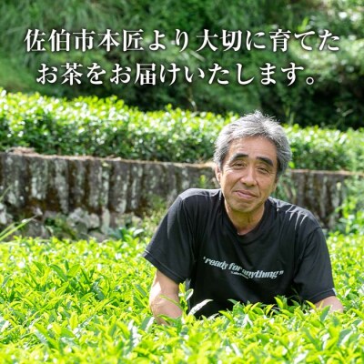 お茶 ティーバッグ 3種セット (釜炒り茶、和紅茶、いちょう葉紅茶・各12個) 