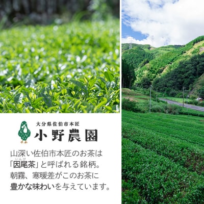 釜炒り茶 因尾茶 ティーバッグ (計220g・44g×5袋) 