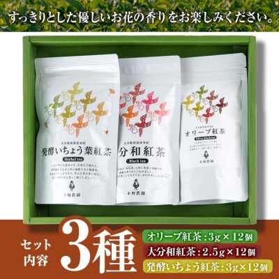 紅茶 ティーバッグ 3種セット (オリーブ紅茶、和紅茶、いちょう葉紅茶・各12個)  