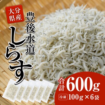 豊後水道産 しらす (合計600g・100g&times;6袋) 