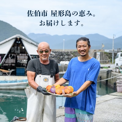 緋扇貝 (計32枚) 屋形島で後藤さんが育てた緋扇貝