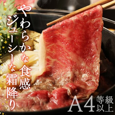 おおいた和牛 ローススライス (500g)  