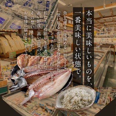老舗海産物問屋 選りすぐり干物 セット 青 (7種)