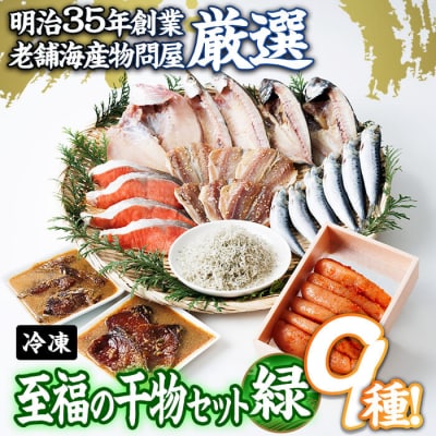 老舗海産物問屋 選りすぐり 干物 セット 緑 (9種)
