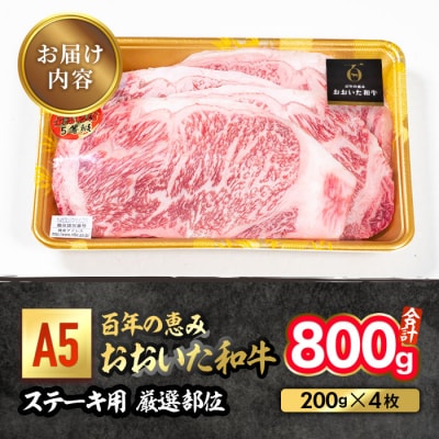 百年の恵み おおいた和牛 A5 ステーキ用 厳選部位 (計800g・200g×4枚)  