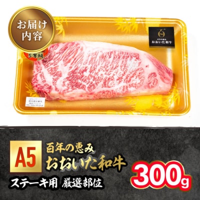 百年の恵み おおいた和牛 A5 ステーキ用 厚切り 厳選部位 (300g) 