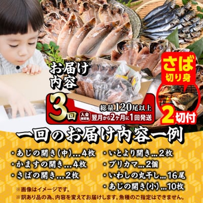 【期間限定・さば切り身2切付】<定期便・全3回 (隔月)>訳あり 干物大満足BOX (40尾以上)