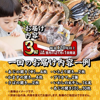 <定期便・全3回 (隔月)>訳あり 干物大満足BOX (120尾以上)