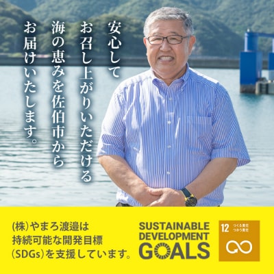 <定期便・全3回 (隔月)>訳あり 干物大満足BOX (40尾以上)