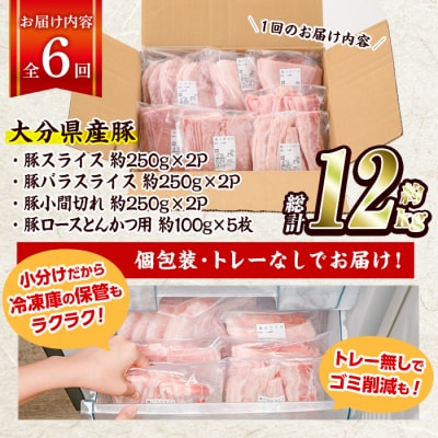 <定期便・全6回 (連続)>大分県産 豚肉 バラエティーパック (総量12kg・4種)