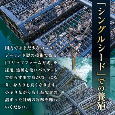 ひとくち 真牡蠣 (20個入り) 