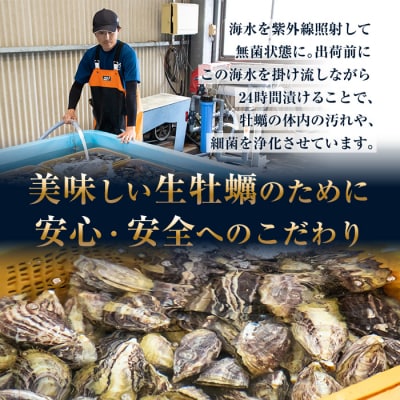 ひとくち 真牡蠣 (20個入り) 